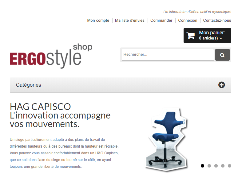 Ergostyle website screenshot